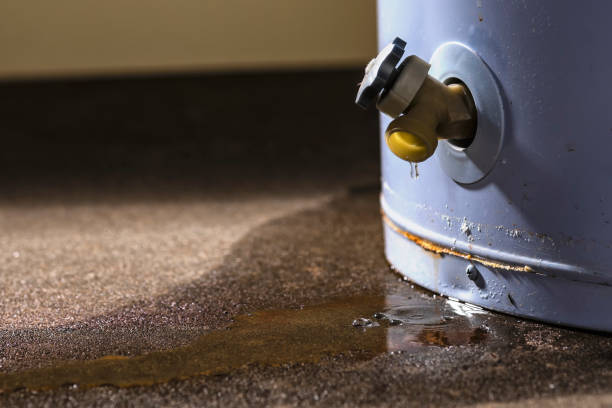 Best Water damage contractors near me  in Braselton, GA