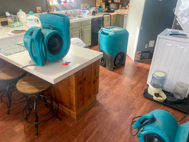 Best Water damage restoration near me  in Braselton, GA