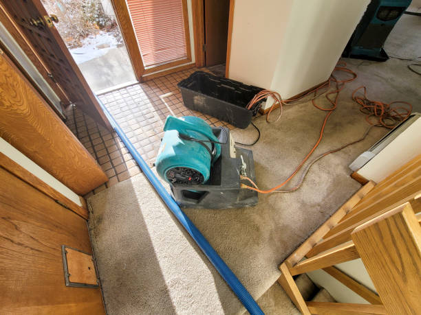 Best Water damage restoration experts  in Braselton, GA