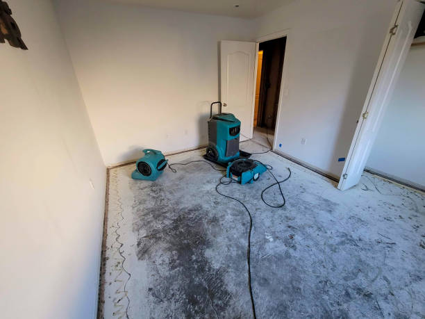 Best Commercial water damage restoration  in Braselton, GA