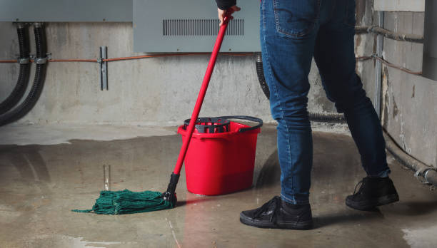  Braselton, GA Water damage restoration Pros