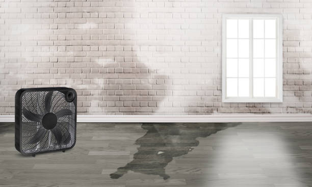 Reliable Braselton, GA Water damage restoration Solutions