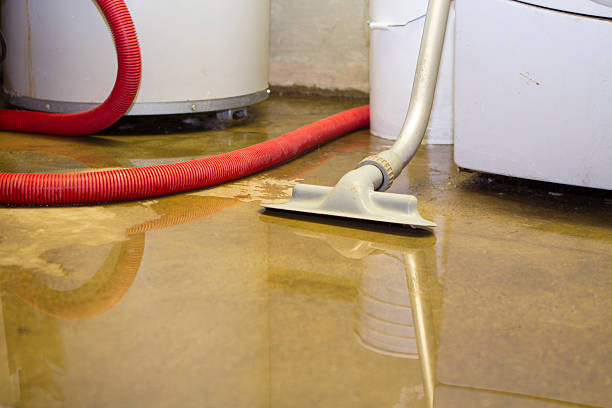 Best Water damage restoration near me  in Braselton, GA
