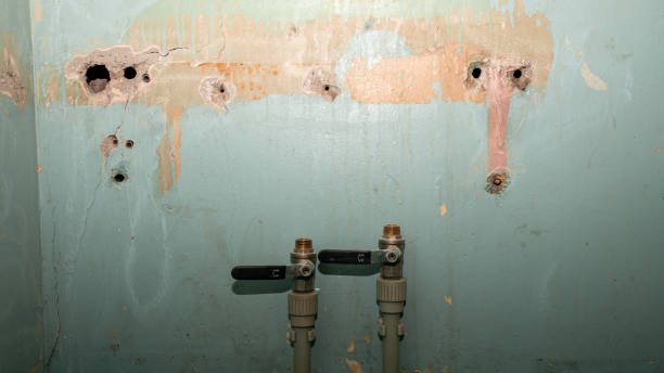 Best Carpet water damage restoration  in Braselton, GA
