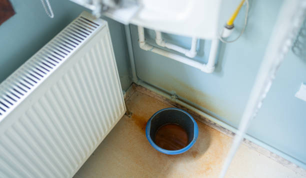 Best Water damage repair service  in Braselton, GA