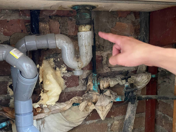 Best 24/7 water damage repair  in Braselton, GA