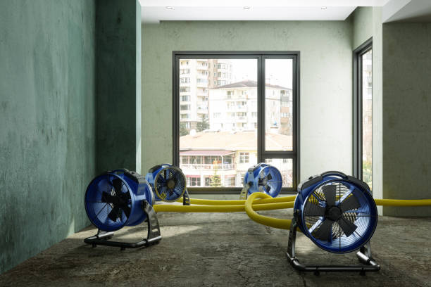 Best Professional water damage repair  in Braselton, GA