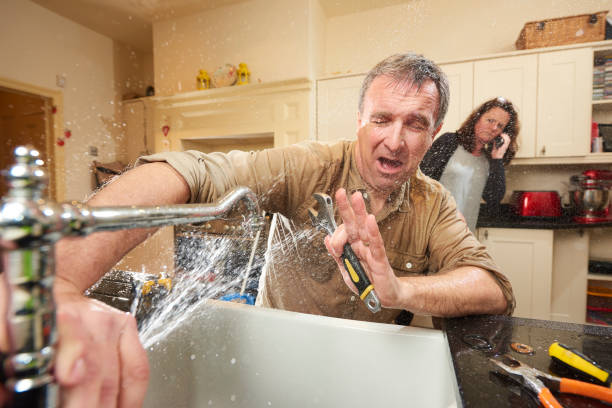 Best Flooded house restoration  in Braselton, GA